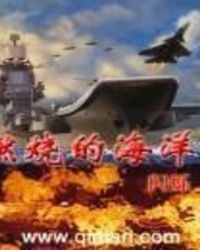 燃烧的零式战斗机